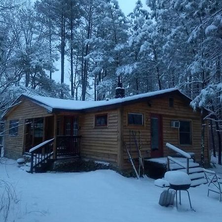 Rustic Quaint Cabin In The Woods--Pets Welcomed Dunnsville Exteriér fotografie
