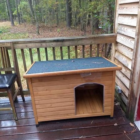 Rustic Quaint Cabin In The Woods--Pets Welcomed Dunnsville Exteriér fotografie