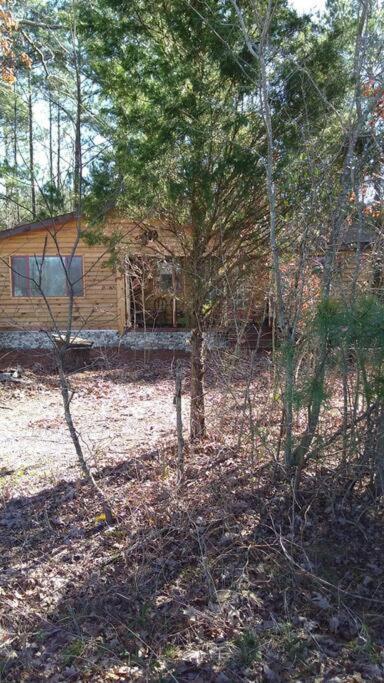 Rustic Quaint Cabin In The Woods--Pets Welcomed Dunnsville Exteriér fotografie