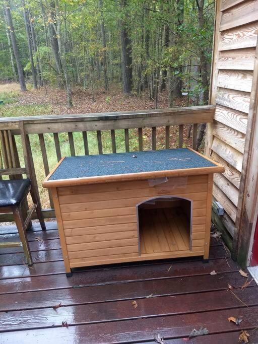 Rustic Quaint Cabin In The Woods--Pets Welcomed Dunnsville Exteriér fotografie