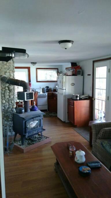 Rustic Quaint Cabin In The Woods--Pets Welcomed Dunnsville Exteriér fotografie